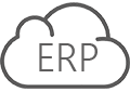 ERP Development